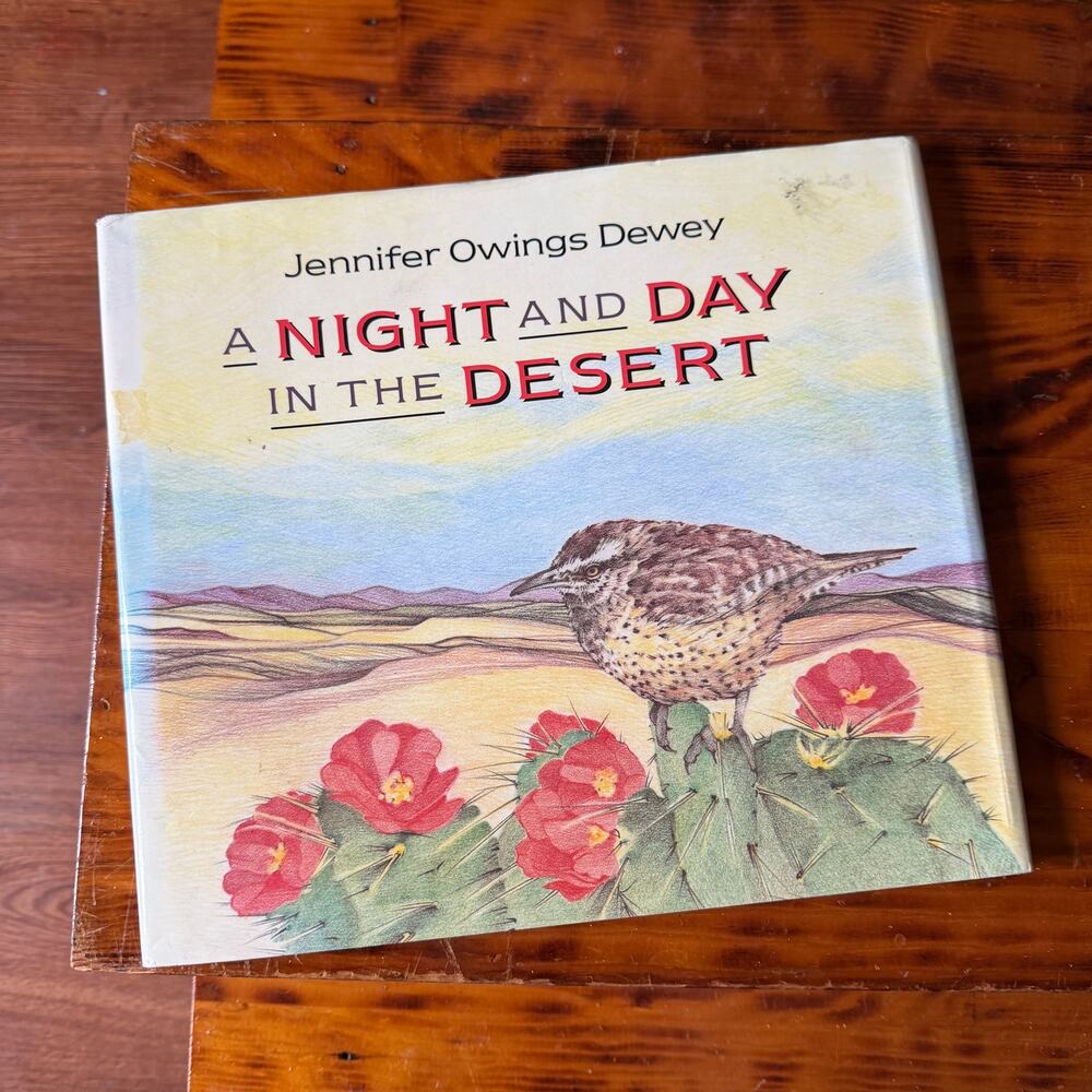 Vintage 1991 A Night And Day In The Desert Hardcover Book